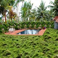 Hotel Bombay Tiffanys Mysore Exterior photo